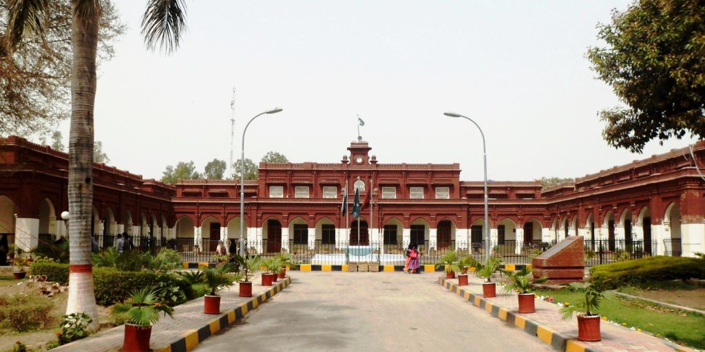 GC University Faisalabad - Bachelor of Software Engineering (Candidate)